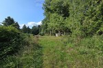 Seltene Gelegenheit! Häuschen im Grünen! Natur pur! - Ferienhaus Schmelz | Angebot:27010265