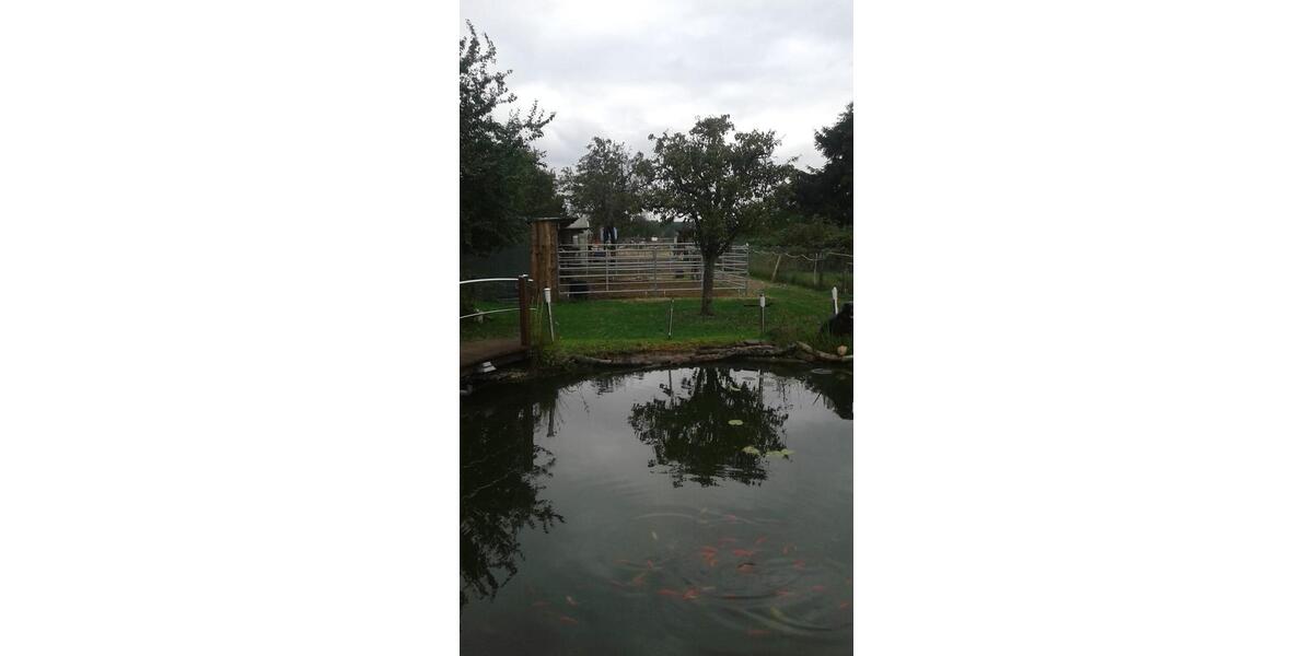 Einfamilienhaus Großrosseln - 3 Zimmer, 90 m&sup2;, 89.000&euro; | Angebot:25917192