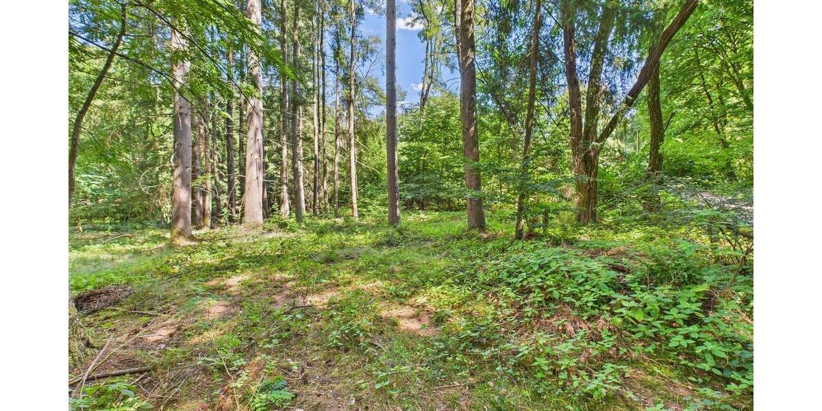 Grundstück Schmelz - 70.000&euro; | Angebot:25687201