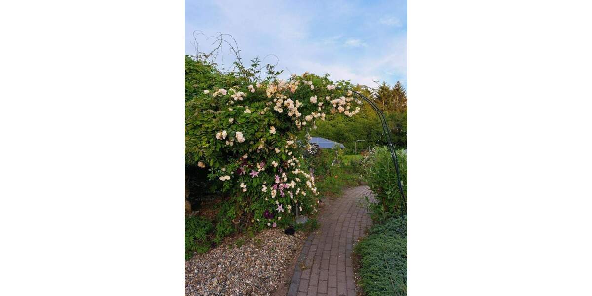 Doppelhaushälfte Schiffweiler - 4 Zimmer, 120 m&sup2;, 324.900&euro; | Angebot:25732796