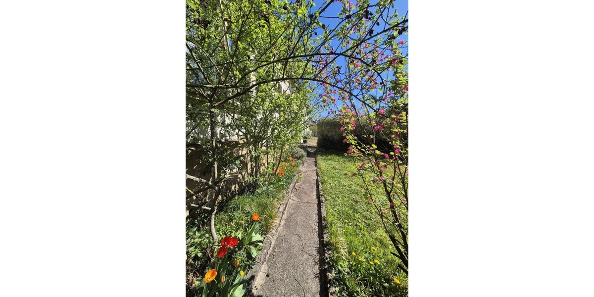 Raum für Ideen: Bauernhaus mit Mehrwert: Haupthaus und 4 vermietete Wohneinheiten - Mehrfamilienhaus, Wohnhaus Blieskastel-Böckweiler Böckweiler | Angebot:24411404