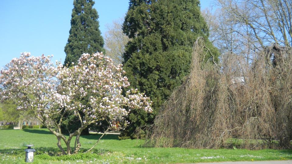 Etagenwohnung Saarbrücken Eschberg - 2 Zimmer, 80 m&sup2;, 795&euro; | Angebot:25923725