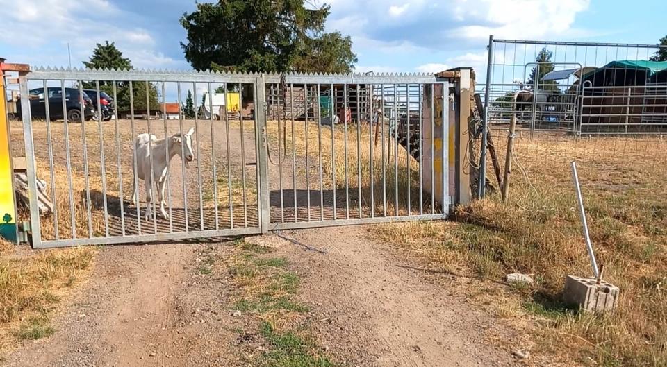 Einfamilienhaus Großrosseln - 3 Zimmer, 90 m&sup2;, 89.000&euro; | Angebot:25917192