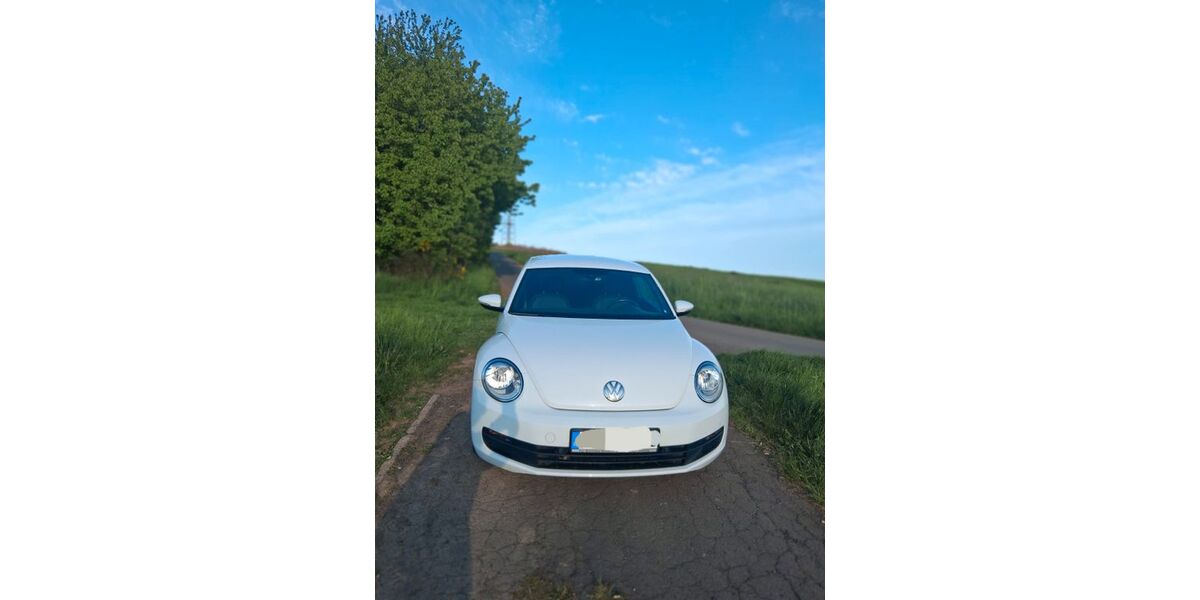 VW Beetle 163.153 km 7.850 &euro; Schmelz 66839