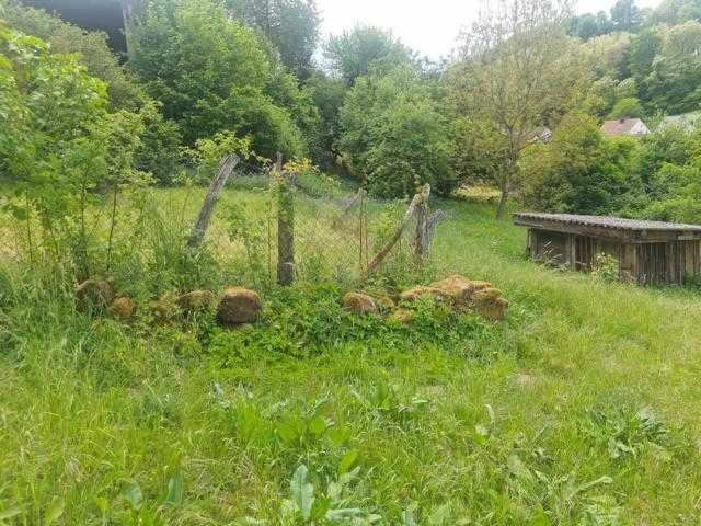 Stilvolles Bauernhaus mit Stallungen und Scheune - Bauernhaus, Landhaus Homburg | Angebot:21312218