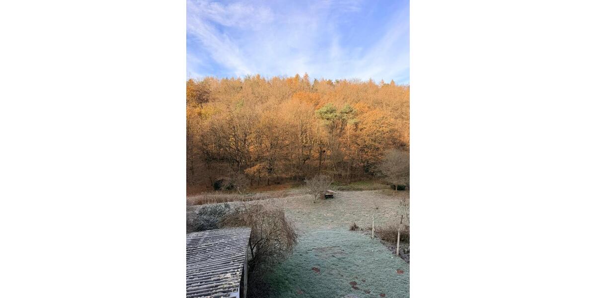 Etagenwohnung Großrosseln - 4 Zimmer, 101 m&sup2;, 980&euro; | Angebot:25757323