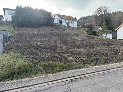 TOP LAGE, VIELE BAUMÖGLICHKEITEN, 765M² - Grundstück Beckingen | Angebot:26008091