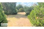 Gewerbeobjekt Saarlouis - 599.800&euro; | Angebot:25677846