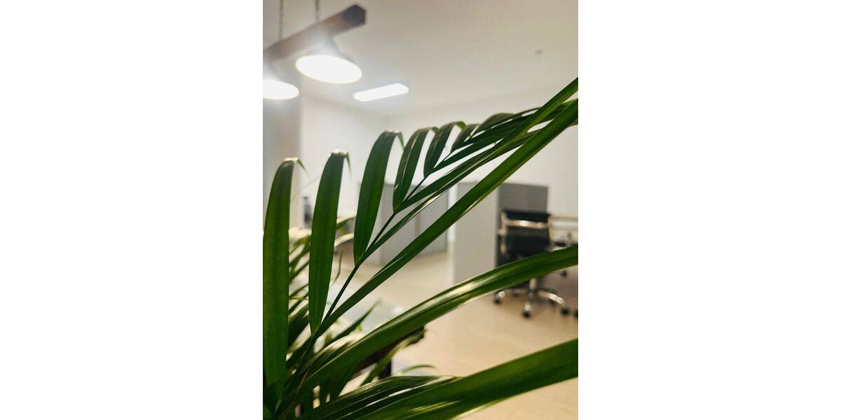 Gewerbeobjekt Saarbrücken St Johann - 500&euro; | Angebot:26855487