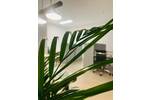 Gewerbeobjekt Saarbrücken St Johann - 500&euro; | Angebot:26855487