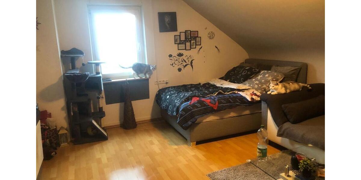 Dachgeschoßwohnung Heusweiler - 3 Zimmer, 65 m&sup2;, 525&euro; | Angebot:25238490