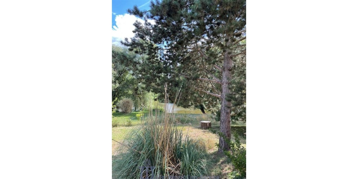 Zeitlos elegantes Villenanwesen im Bauhausstil - Villa Kleinblittersdorf | Angebot:8332845