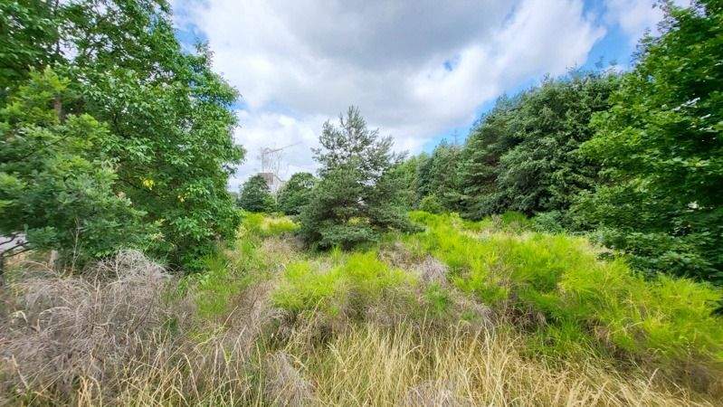 Grundstück Homburg - 690.000&euro; | Angebot:25675533