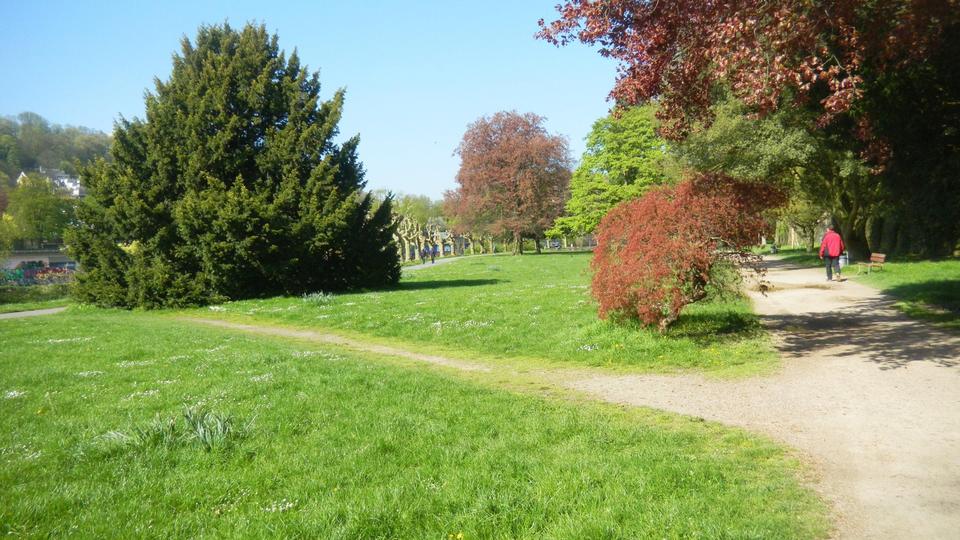 Etagenwohnung Saarbrücken Eschberg - 2 Zimmer, 80 m&sup2;, 795&euro; | Angebot:25724885