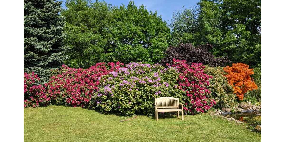Bungalow, Bauhausstil, in bevorzugter uninaher Wohnlage - Einfamilienhaus Homburg | Angebot:20766295