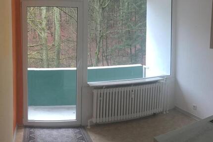 Wohnung Neunkirchen - 2 Zimmer, 37 m&sup2;, 320&euro; | Angebot:26024357