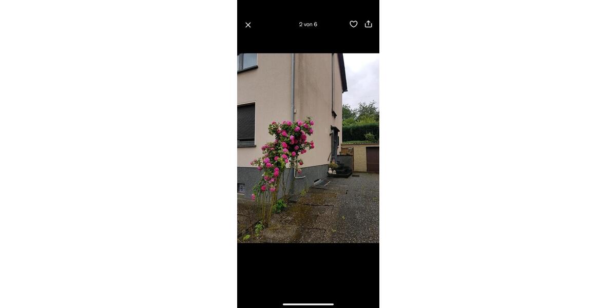 Erdgeschoßwohnung Völklingen - 2 Zimmer, 65 m&sup2;, 550&euro; | Angebot:25655777