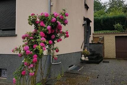 Wohnung Völklingen - 2 Zimmer, 65 m&sup2;, 550&euro; | Angebot:25655777