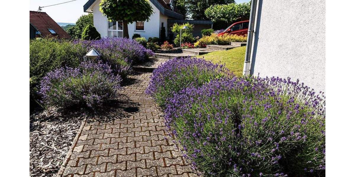 Einfamilienhaus Überherrn / Felsberg Felsberg - 8 Zimmer, 430 m&sup2;, 799.000&euro; | Angebot:25668689