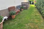 Erdgeschoßwohnung Beckingen - 4 Zimmer, 130 m&sup2;, 298.000&euro; | Angebot:27108740