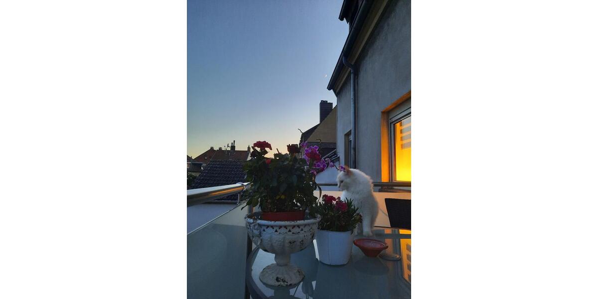 Etagenwohnung Saarbrücken Malstatt - 3 Zimmer, 95 m&sup2;, 1.000&euro; | Angebot:25933882