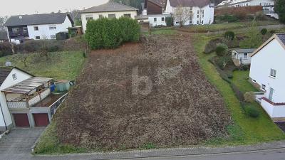 TOP LAGE, VIELE BAUMÖGLICHKEITEN, 765M² - Grundstück Beckingen | Angebot:25865007