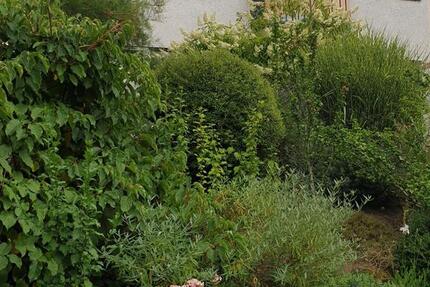 Wohnung Saarbrücken Neue Bremm - 3 Zimmer, 70 m&sup2;, 850&euro; | Angebot:25905772