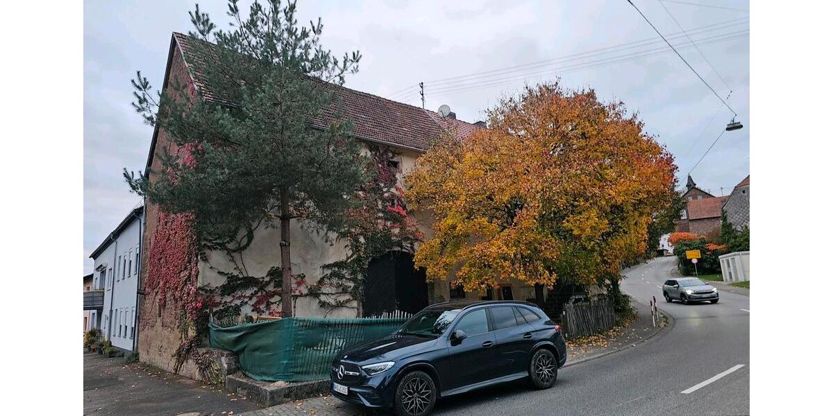 Einfamilienhaus Sankt Wendel - 9 Zimmer, 223 m&sup2;, 160.000&euro; | Angebot:23163782