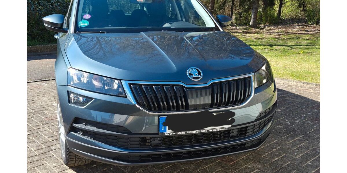 Skoda Karoq 114.000 km 15.880 &euro; Blieskastel 66440