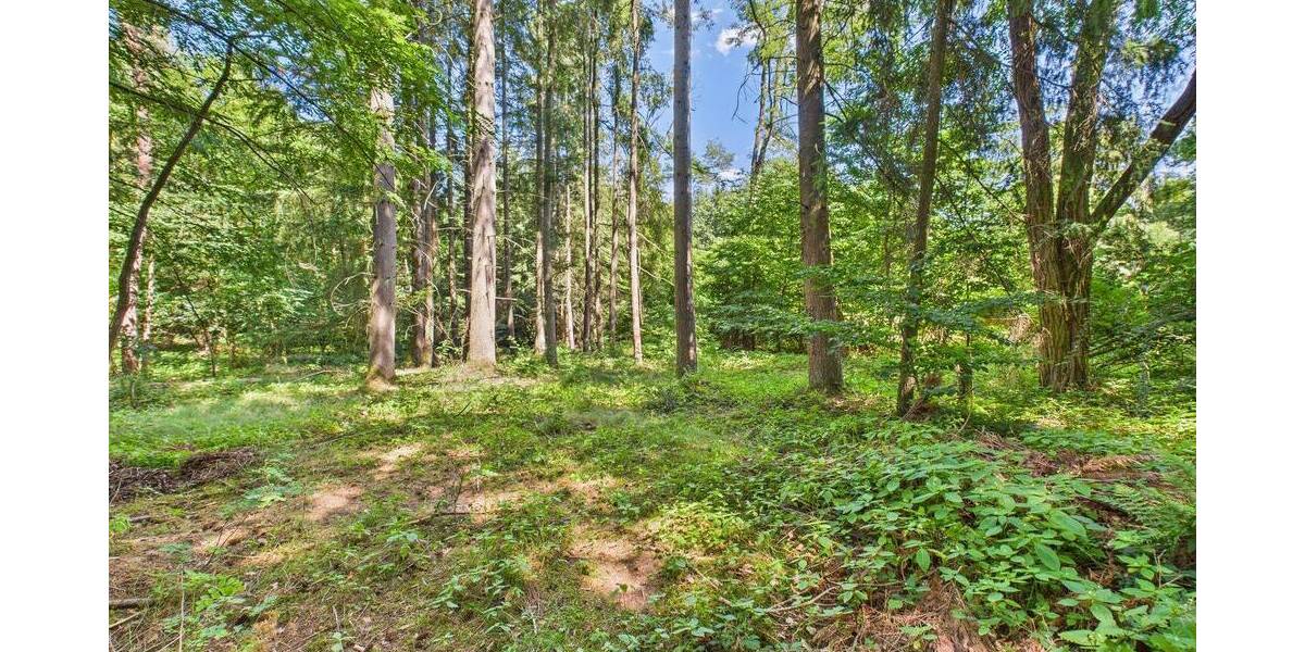 Grundstück Schmelz - 70.000&euro; | Angebot:25687201