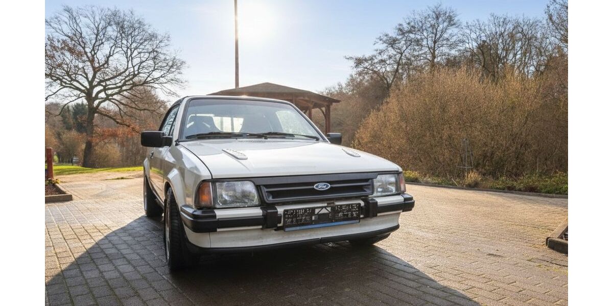 Ford Escort 120.000 km 5.500 &euro; Niedaltdorf 66780