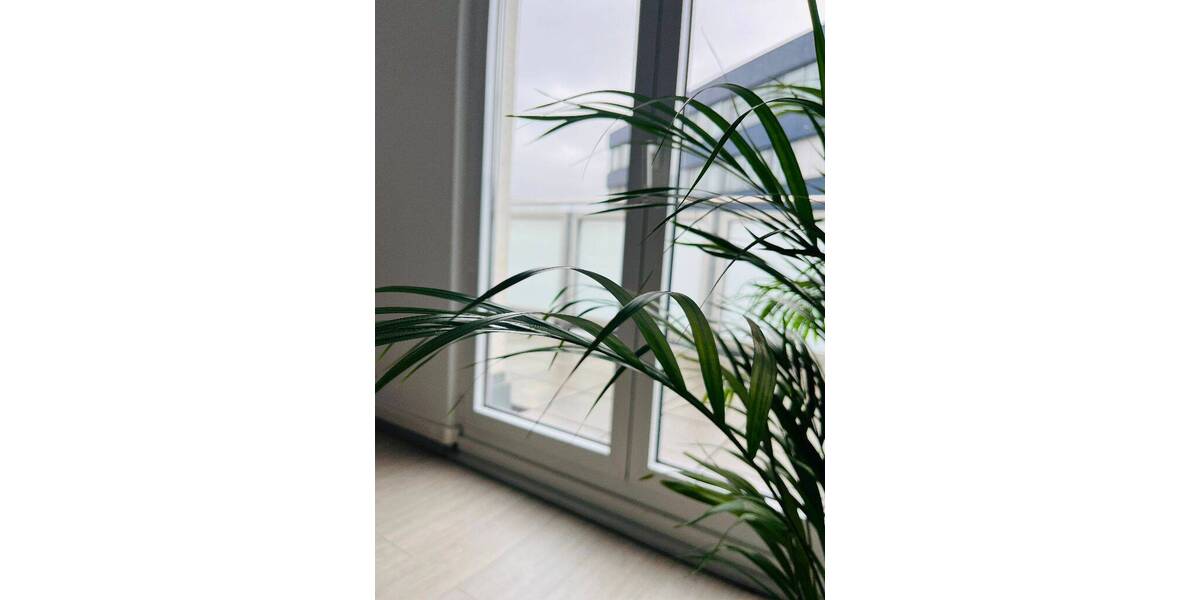 Gewerbeobjekt Saarbrücken St Johann - 500&euro; | Angebot:26855487