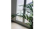 Gewerbeobjekt Saarbrücken St Johann - 500&euro; | Angebot:26855487