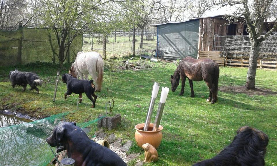 Einfamilienhaus Großrosseln - 3 Zimmer, 90 m&sup2;, 89.000&euro; | Angebot:25917192