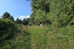Seltene Gelegenheit! Häuschen im Grünen! Natur pur! - Ferienhaus Schmelz | Angebot:27010265