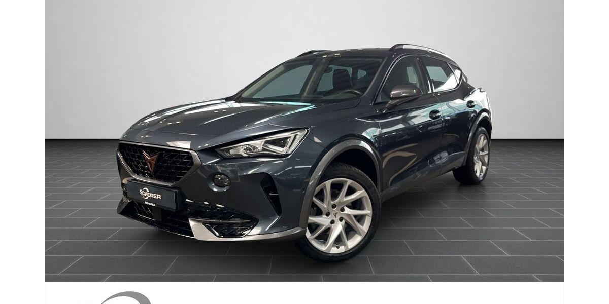 Cupra Formentor 101.004 km 22.490 &euro; Saarbrücken 66115