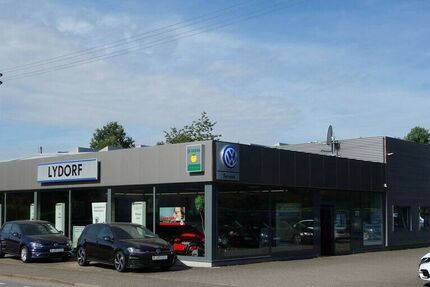 VW Golf 47.410 km 27.990 &euro; Schmelz 66839