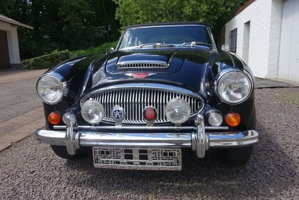 Austin Healey Andere 12.000 km 65.500 &euro; Beckingen 66701