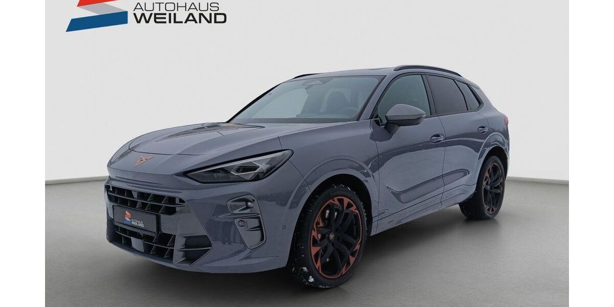 Cupra Terramar 29.500 km 41.900 &euro; Neunkirchen 66539