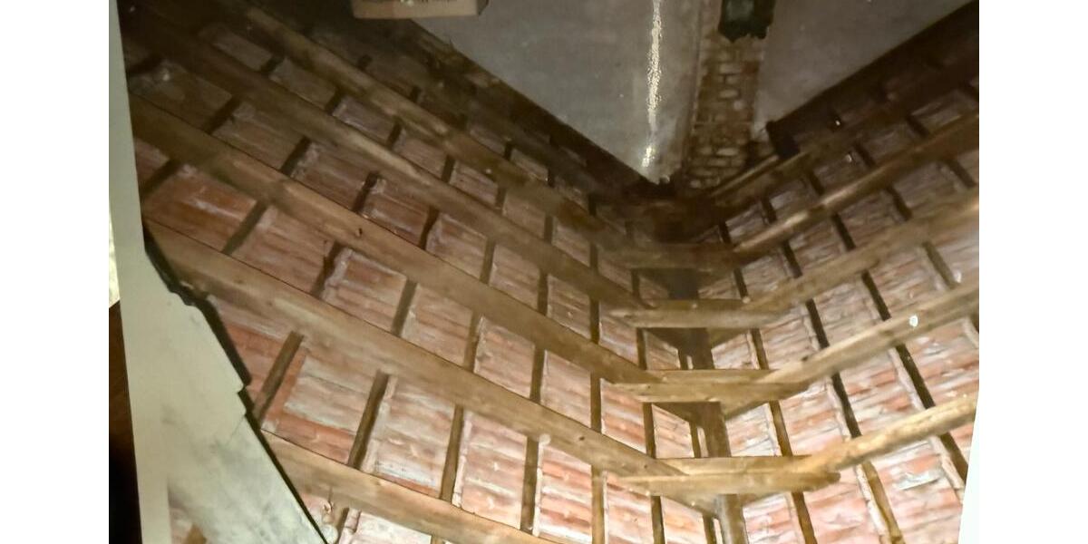 Doppelhaushälfte Friedrichsthal - 5 Zimmer, 100 m&sup2;, 139.000&euro; | Angebot:24804322