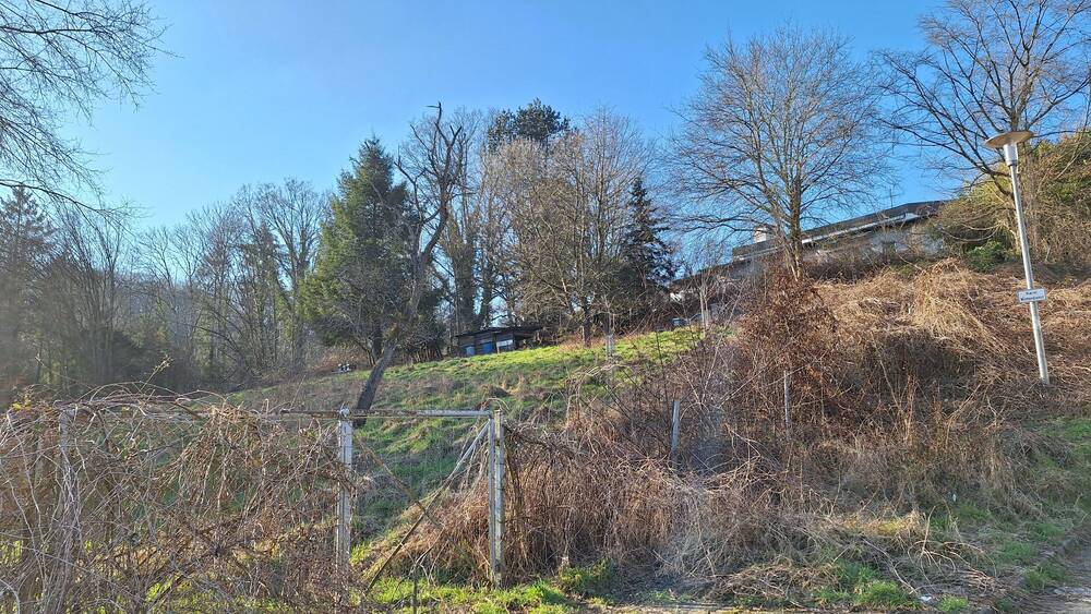 Grundstück Blieskastel - 250.000&euro; | Angebot:25770184