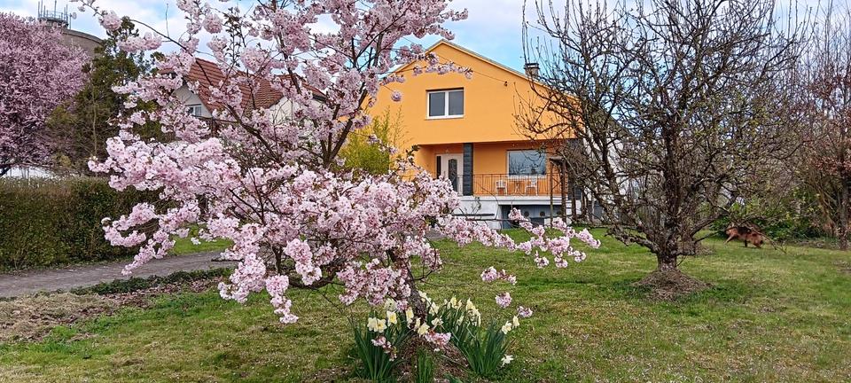 Einfamilienhaus Kleinblittersdorf - 6 Zimmer, 168 m&sup2;, 298.000&euro; | Angebot:25940633