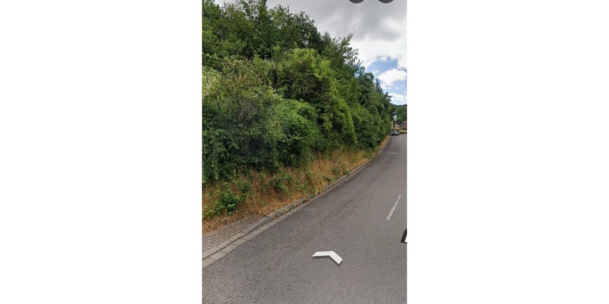 Grundstück Zweibrücken - 55.000&euro; | Angebot:26592616