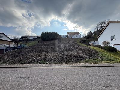 TOP LAGE, VIELE BAUMÖGLICHKEITEN, 765M² - Grundstück Beckingen | Angebot:27354987