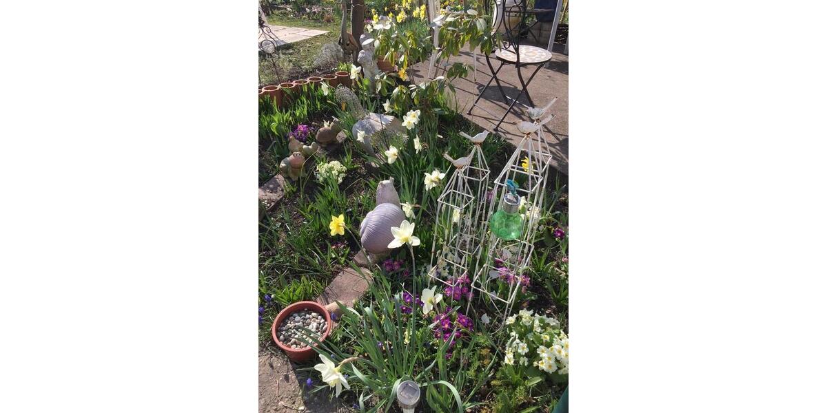 Doppelhaushälfte Zweibrücken - 5 Zimmer, 180 m&sup2;, 229.000&euro; | Angebot:25417906