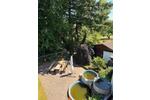 Mehrfamilienhaus, Wohnhaus Saarwellingen - 10 Zimmer, 275 m&sup2;, 493.000&euro; | Angebot:26806871