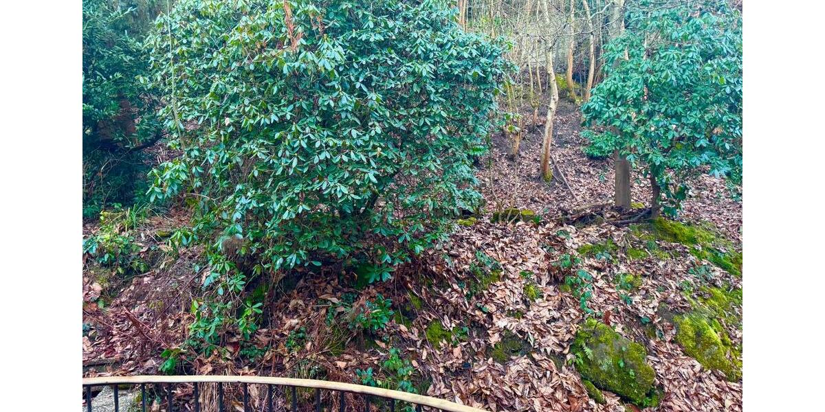 Etagenwohnung Saarbrücken St. Arnual - 4 Zimmer, 100 m&sup2;, 225.000&euro; | Angebot:25887877