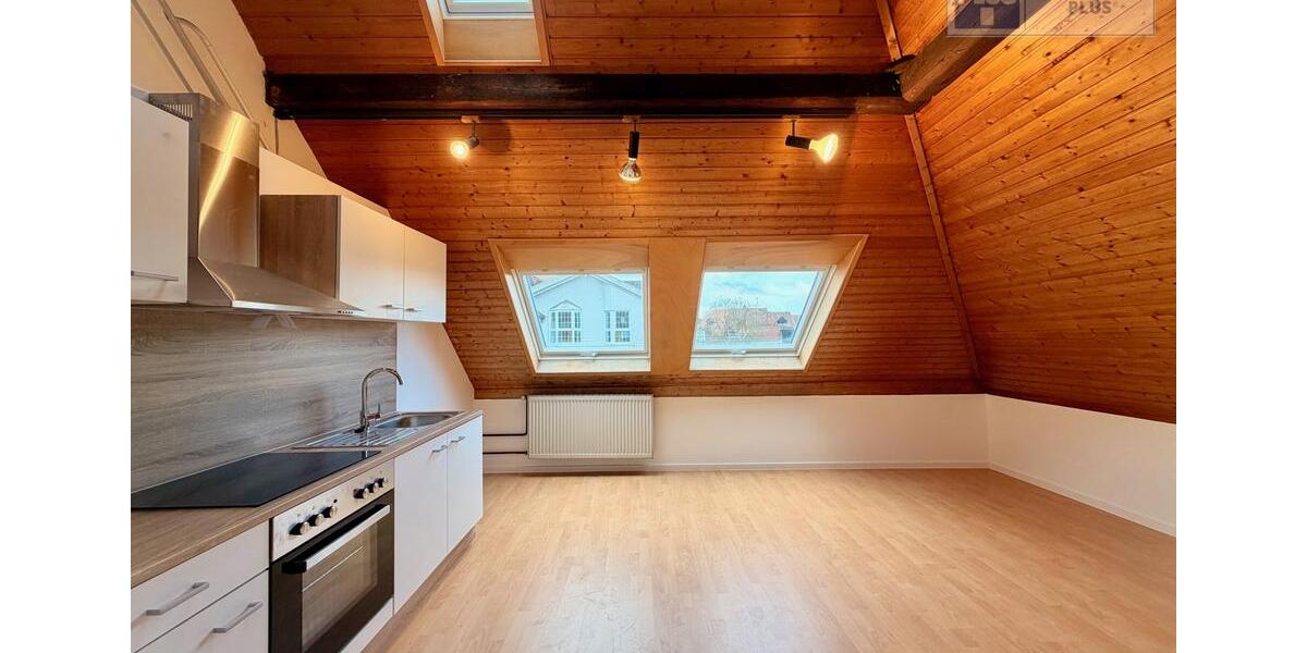 Dachgeschoßwohnung Homburg - 1 Zimmer, 60 m&sup2;, 690&euro; | Angebot:25251901