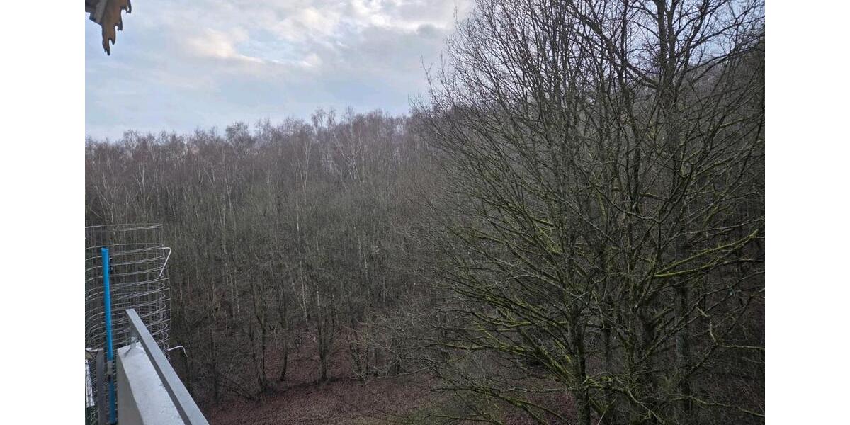 Etagenwohnung Bexbach - 2 Zimmer, 68 m&sup2;, 68.000&euro; | Angebot:24837554