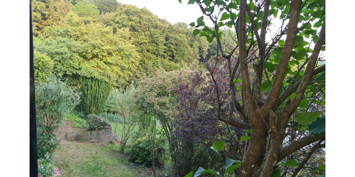 Bungalow mit Satteldach in idyllischer Ortsrandlage mit Fernblick - Einfamilienhaus Homburg | Angebot:21352445